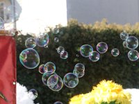 20250302 F Zug Frechen 172